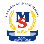 logo300